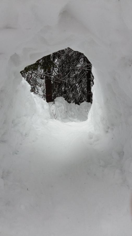 Apartmány Biela Púť 17 - 18 Demänovská Dolina Esterno foto